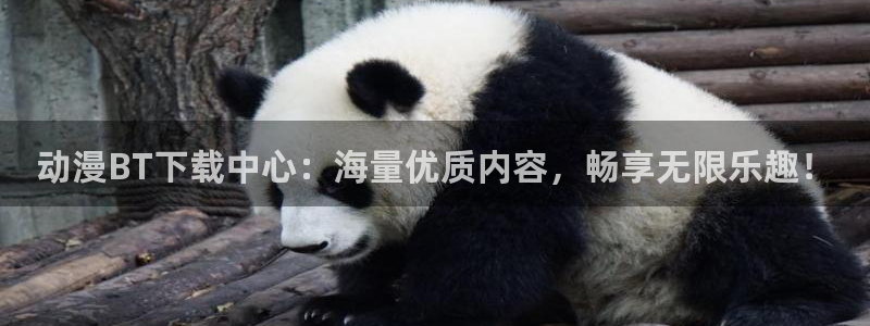 向日葵樱花动漫