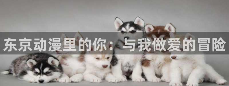 《樱花动漫》免费观看：东京动漫里的你：与我做爱的冒险